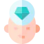 Perfectionist icon 64x64