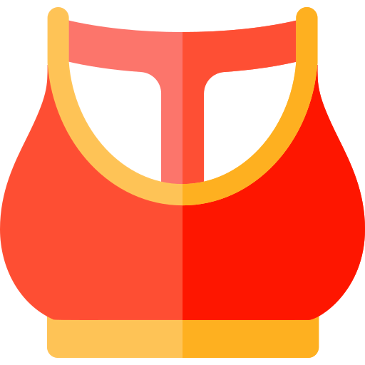 Bra icon