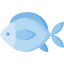Fishes icon 64x64