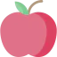Healthy food icon 64x64