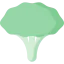 Broccoli icon 64x64