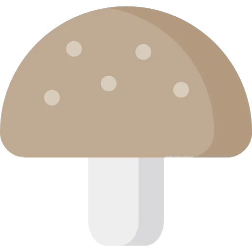 Stores icon
