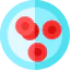 Blood cells icon 64x64