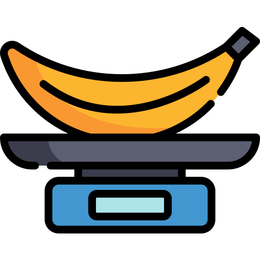 Scale icon