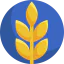 Пшеница иконка 64x64