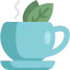 Herbal tea icon 64x64