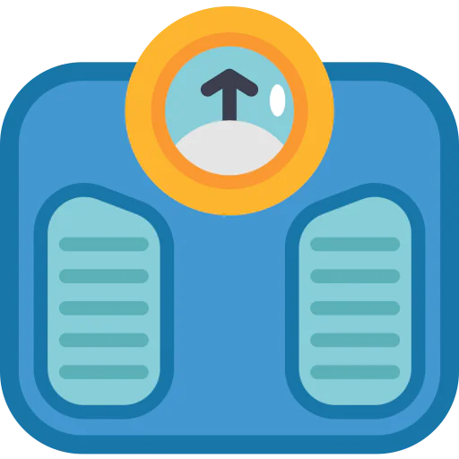 Scale icon