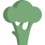 Broccoli icon 64x64