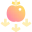 Gravity ícone 64x64