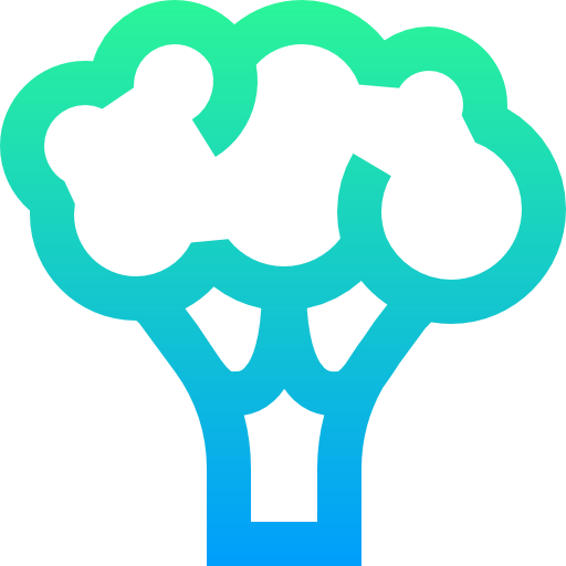 Broccoli icon