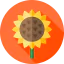 Sunflower アイコン 64x64