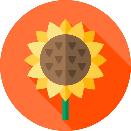 Sunflower icon