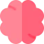 Brain icon 64x64