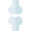 Bone icon 64x64