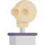 Skull icon 64x64