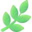 Leaf icon 64x64