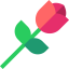 Rose icon 64x64