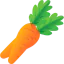Carrots icon 64x64