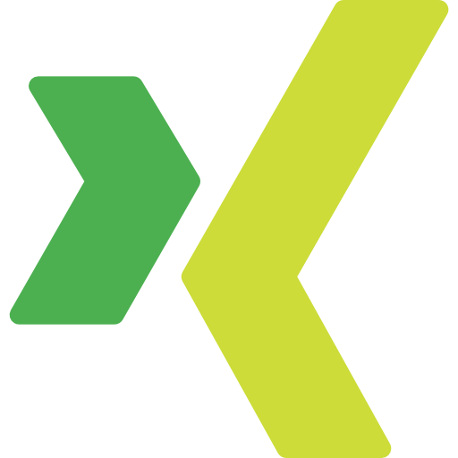 Xing icon