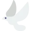 Dove icon 64x64