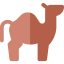Camel icon 64x64