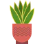 Cactus icon 64x64