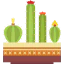 Cactus icon 64x64
