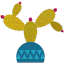 Cactus icon 64x64