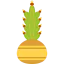 Cactus icon 64x64