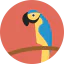 Parrot icon 64x64