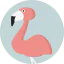 Flamingo іконка 64x64