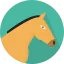 Horse icon 64x64