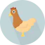 Hen icône 64x64