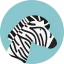 Zebra Symbol 64x64