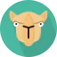 Верблюд иконка 64x64