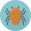 Bug icon 64x64