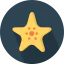 Starfish icon 64x64