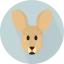 Kangaroo icon 64x64