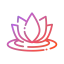 Lotus icon 64x64