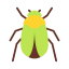 Beetle icône 64x64