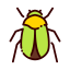 Beetle icône 64x64
