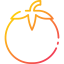Tomato ícone 64x64