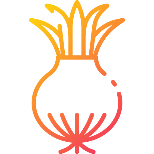 Onion icon