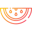 Watermelon icon 64x64