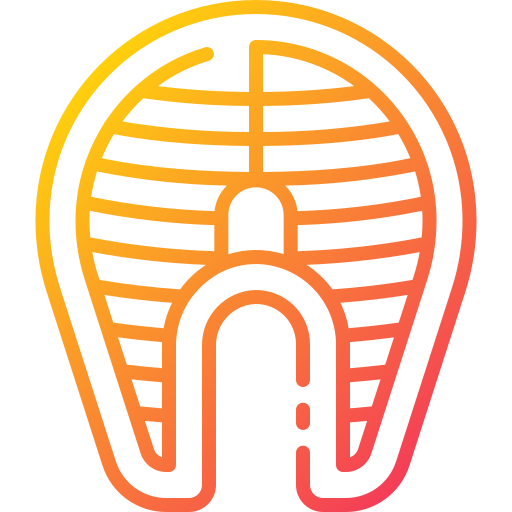 Fish icon