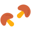 Mushroom icon 64x64