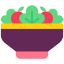 Salad icon 64x64