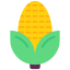 Corn icon 64x64