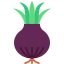 Onion icon 64x64