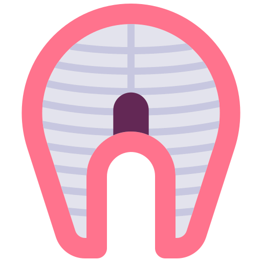 Fish icon